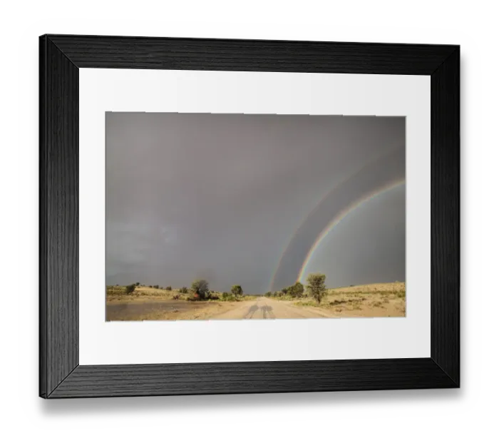 Framed Print : The Kgalagadi Transfrontier Park lies in a large sand-filled basin in the west of the southern African subcontinent, known as the Kalahari Desert. It straddles both South Africa and Botswana to create Framed Print : The Kgalagadi Transfrontier Park lies in a large sand-filled basin in the west of the southern African subcontinent, known as the Kalahari Desert. It straddles both South Africa and Botswana to create