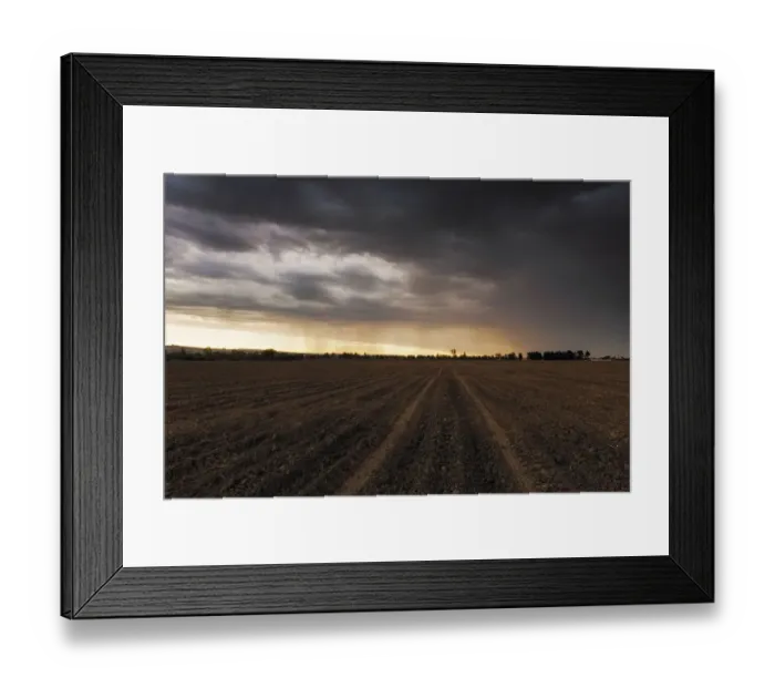Framed Print : The First Rains Arrive at Sunset to a Farm Field Freshly Prepared and Planted with Maize Seed. Magaliesburg. Gauteng Province, South Africa Framed Print : The First Rains Arrive at Sunset to a Farm Field Freshly Prepared and Planted with Maize Seed. Magaliesburg. Gauteng Province, South Africa