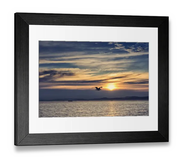 Framed Print : Sunrise, Clouds, Sky, Bird, Seagull, Golden, Ships, Cape Town, South Africa, Western Cape Framed Print : Sunrise, Clouds, Sky, Bird, Seagull, Golden, Ships, Cape Town, South Africa, Western Cape