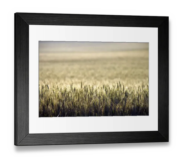 Framed Print : abstract, abundance, accomplish, accomplishing, accomplishment, africa, agriculture Framed Print : abstract, abundance, accomplish, accomplishing, accomplishment, africa, agriculture