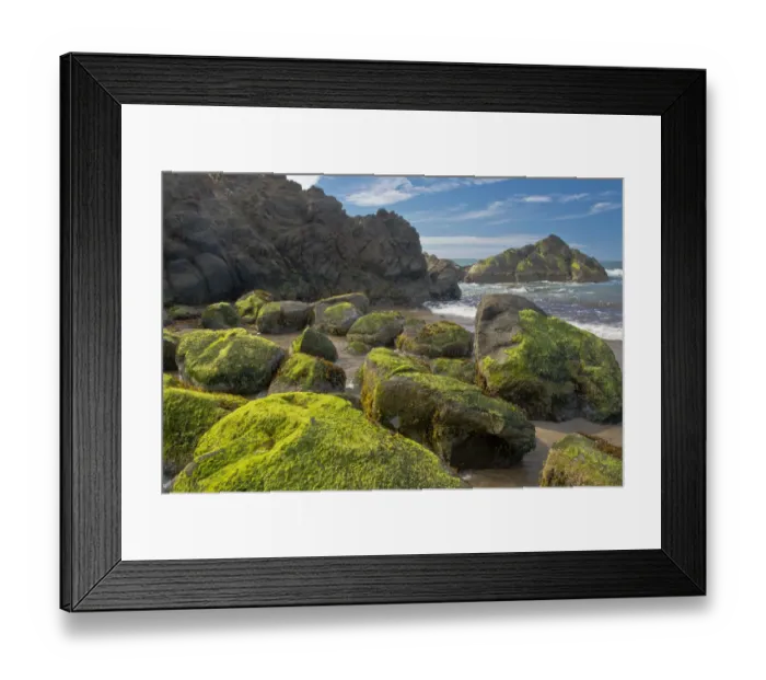 Framed Print : Moss-covered rocks, Fogarty Creek State Recreation Area, Depoe bay, Oregon, USA Framed Print : Moss-covered rocks, Fogarty Creek State Recreation Area, Depoe bay, Oregon, USA