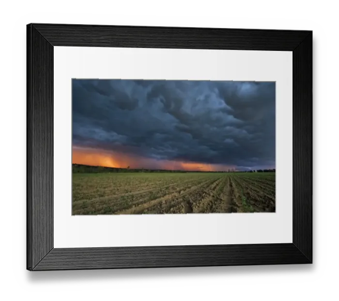 Framed Print : Stormy Sunset with Lightning Stikes over Young Maize (Corn) Crops, Magaliesburg, Gauteng Province, South Africa Framed Print : Stormy Sunset with Lightning Stikes over Young Maize (Corn) Crops, Magaliesburg, Gauteng Province, South Africa