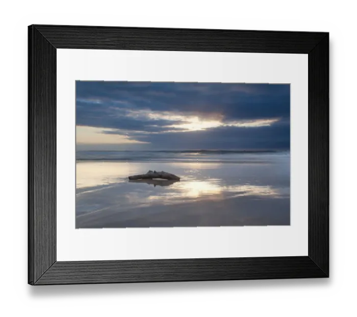 Framed Print : Driftwood lying on a beach at sunrise with a reflection on the wet sand, Cape Vidal South Africa Framed Print : Driftwood lying on a beach at sunrise with a reflection on the wet sand, Cape Vidal South Africa