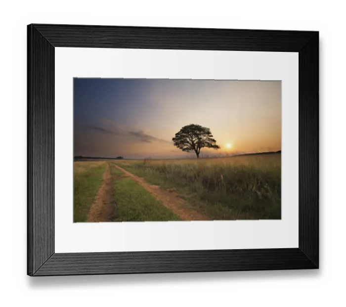 Framed Print : Tree sunset with a two track road in the foreground - Ezemvelo Nature Reserve, Bronkhorstpruit South Africa