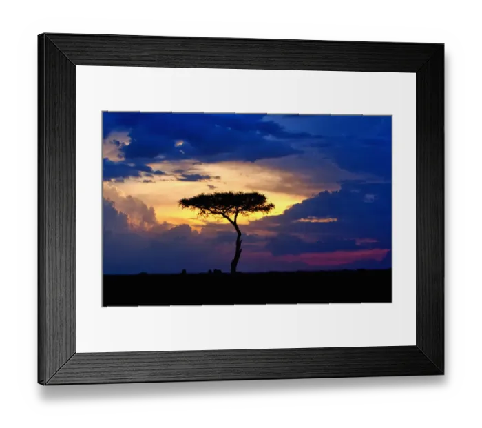 Framed Print : Single tree on savannah at sunset, Msai Mara National Reserve, Kenya