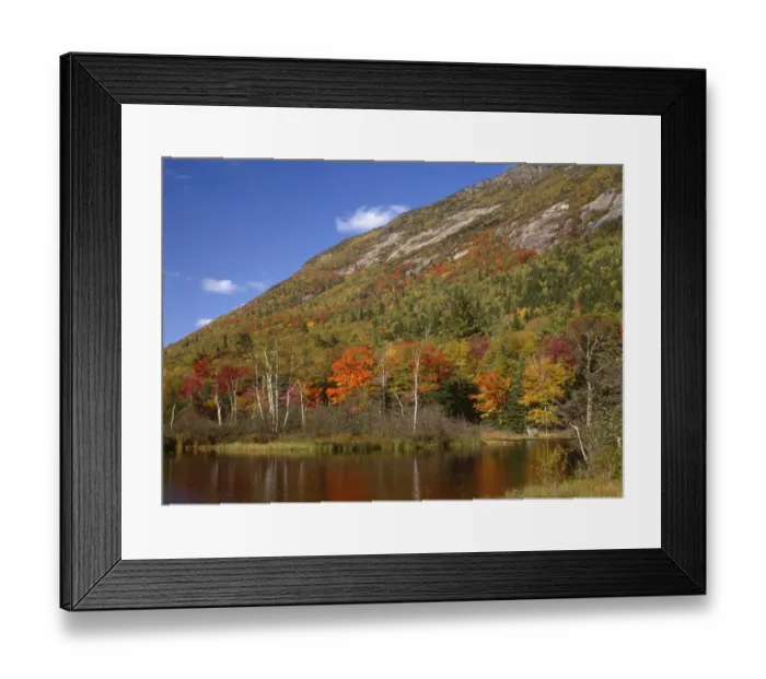 Framed Print : Autumn hardwood forest and pond beneath Mt. Webster, White Mountains, Crawford Notch State Park, New Hampshire, USA Framed Print : Autumn hardwood forest and pond beneath Mt. Webster, White Mountains, Crawford Notch State Park, New Hampshire, USA