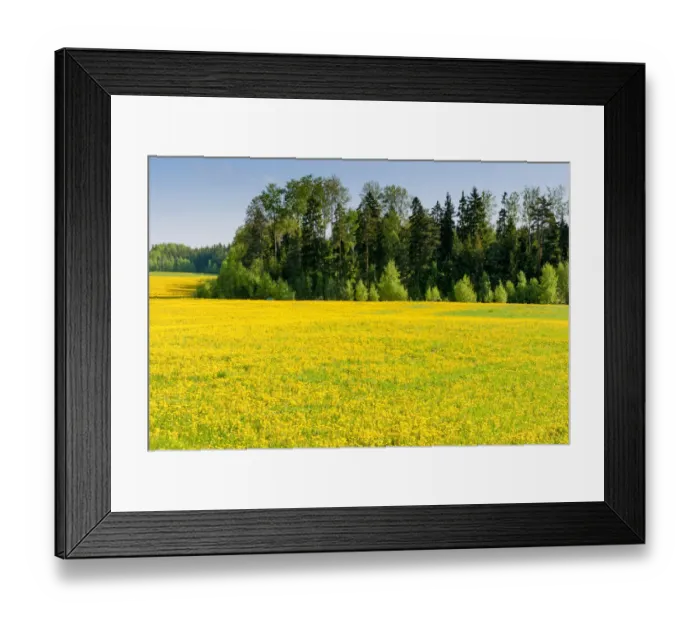 Framed Print : Fields at Varska, Estonia Framed Print : Fields at Varska, Estonia