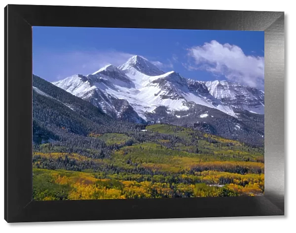 Fresh snow on Mount Wilson and forest in autumn colors, Uncompahgre National Forest, Colorado, USA