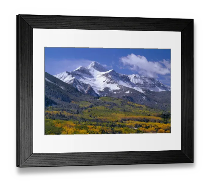 Framed Print : Fresh snow on Mount Wilson and forest in autumn colors, Uncompahgre National Forest, Colorado, USA Framed Print : Fresh snow on Mount Wilson and forest in autumn colors, Uncompahgre National Forest, Colorado, USA