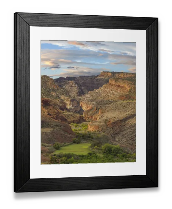Framed Print : Landscape with canyon in Capitol Reef National Park, Utah, USA Framed Print : Landscape with canyon in Capitol Reef National Park, Utah, USA