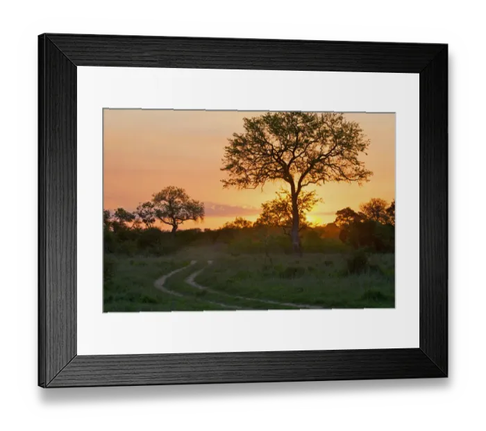 Framed Print : backlit, beauty in nature, dirt track, grass area, horizon, horizontal, idyllic, kosi bay Framed Print : backlit, beauty in nature, dirt track, grass area, horizon, horizontal, idyllic, kosi bay