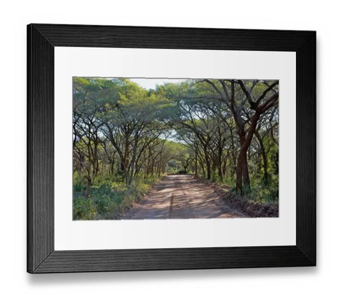 Framed Print : abundance, beauty in nature, country road, day, deciduous, diminishing perspective