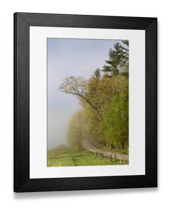 Framed Print : Early morning view of Hyatt Lane, Cades Cove, Great Smoky Mountains National Park, Tennessee, USA