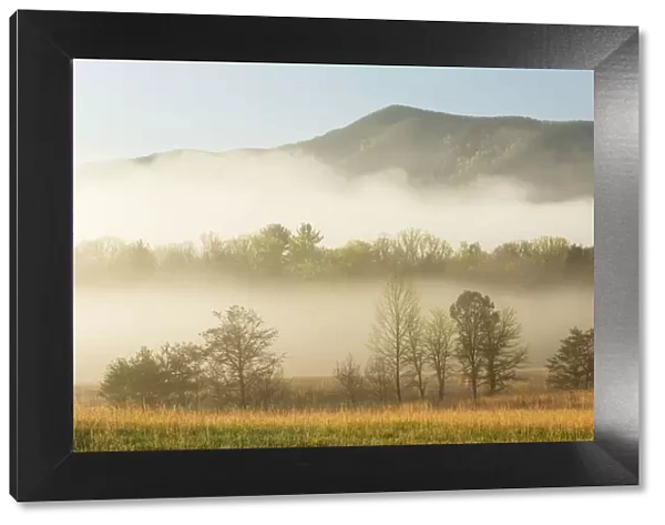 Foggy morning, Cades Cove, Great Smoky Mountains National Park, Tennessee, USA