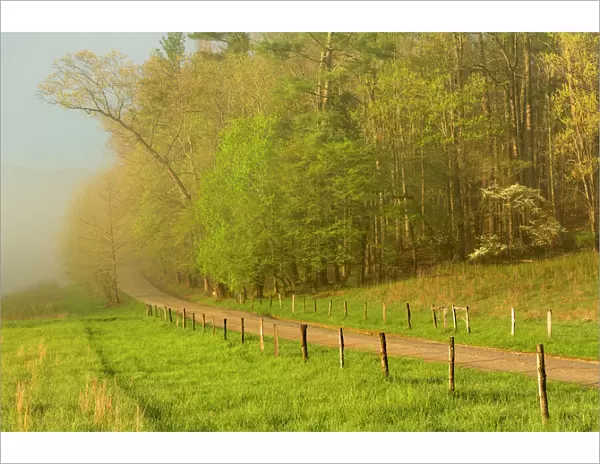Early morning view of Hyatt Lane, Cades Cove, Great Smoky Mountains National Park, Tennessee, USA