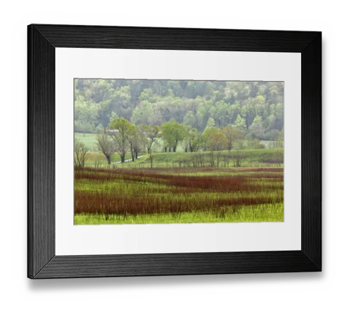 Framed Print : Meadows in Cades Cove, Great Smoky Mountains National Park, Tennessee, USA Framed Print : Meadows in Cades Cove, Great Smoky Mountains National Park, Tennessee, USA