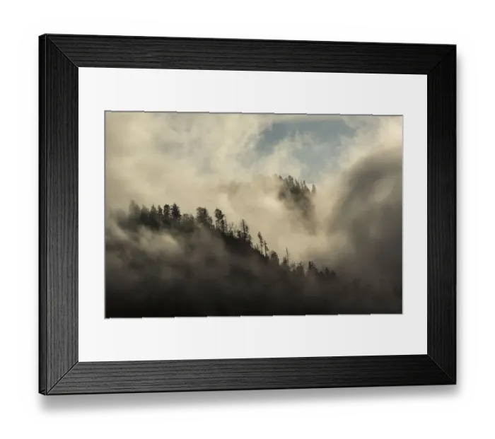 Framed Print : Landscape with forest and clouds, Morton Overlook, Great Smoky Mountains National Park, Tennessee, USA Framed Print : Landscape with forest and clouds, Morton Overlook, Great Smoky Mountains National Park, Tennessee, USA