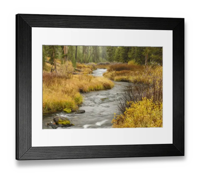 Framed Print : Meandering stream in autumn, Yellowstone National Park, Wyoming, USA Framed Print : Meandering stream in autumn, Yellowstone National Park, Wyoming, USA
