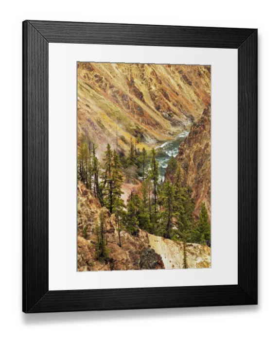 Framed Print : Trees and colorful patterns on canyon walls, Grand Canyon of Yellowstone, Yellowstone National Park, Montana, Wyoming, USA Framed Print : Trees and colorful patterns on canyon walls, Grand Canyon of Yellowstone, Yellowstone National Park, Montana, Wyoming, USA