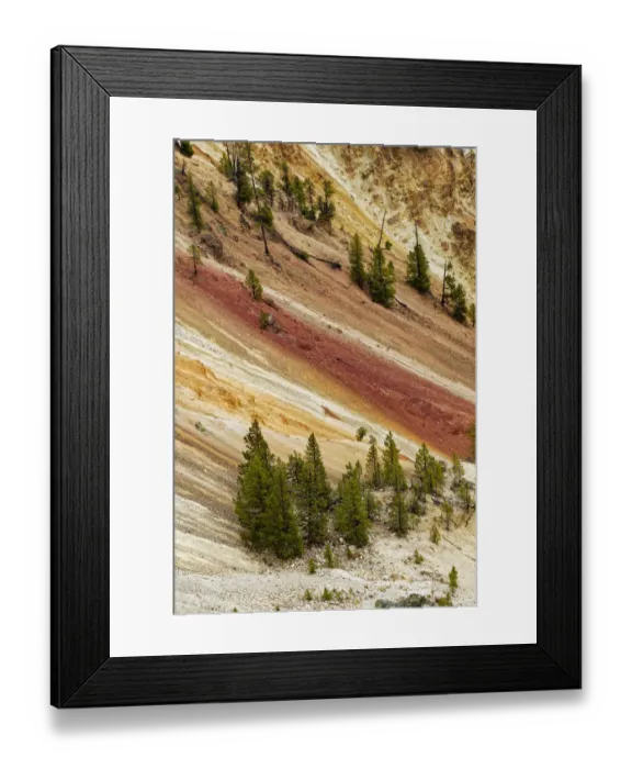 Framed Print : Trees and colorful patterns on canyon walls, Grand Canyon of Yellowstone, Yellowstone National Park, Montana, Wyoming, USA