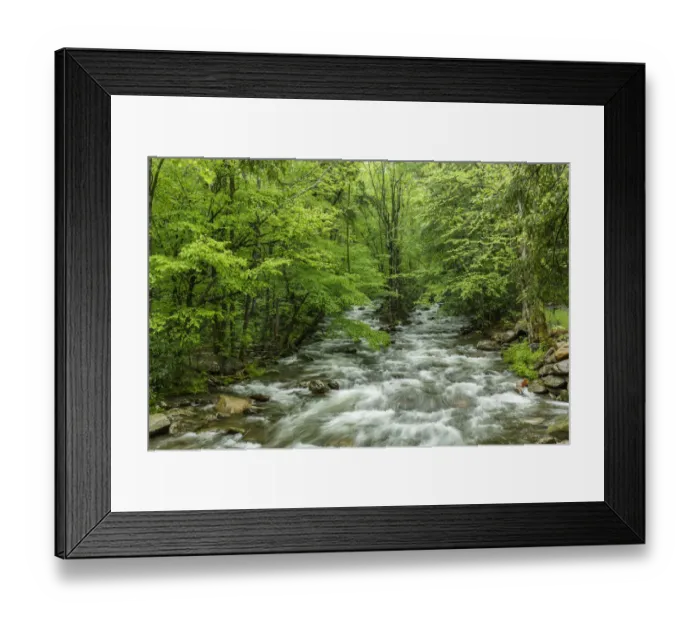 Framed Print : Middle Prong in spring, Great Smoky Mountains National Park, Tennessee, USA Framed Print : Middle Prong in spring, Great Smoky Mountains National Park, Tennessee, USA
