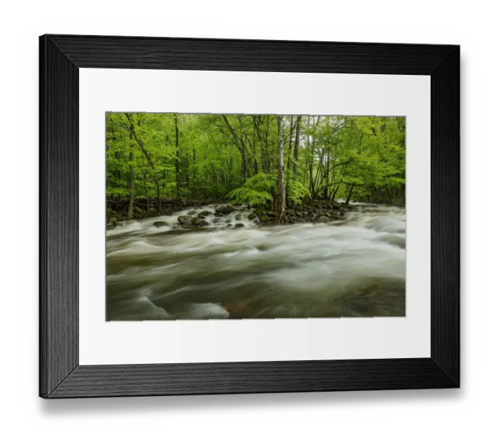 Framed Print : Middle Prong in spring, Great Smoky Mountains National Park, Tennessee, USA Framed Print : Middle Prong in spring, Great Smoky Mountains National Park, Tennessee, USA