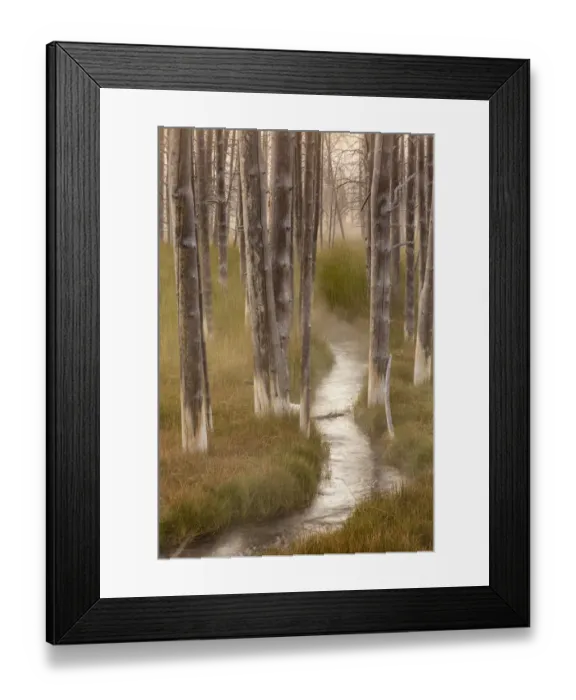 Framed Print : Stream and mineralized trees in Yellowstone National Park, Wyoming, USA