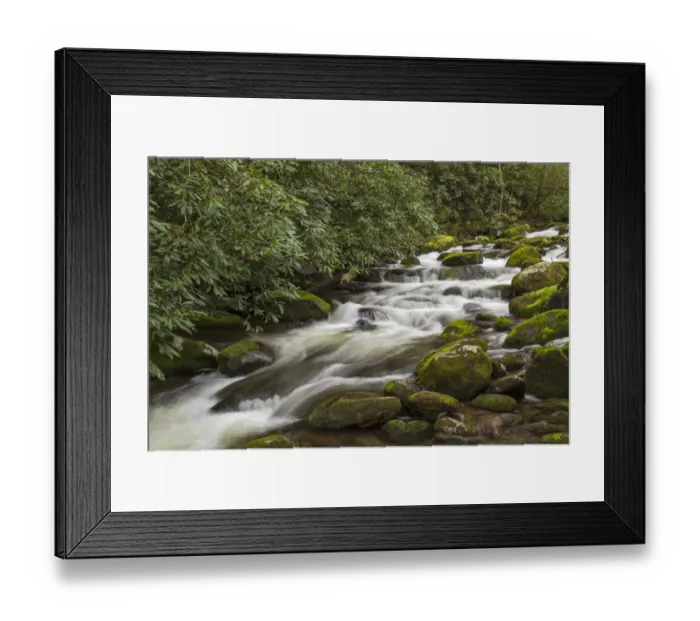 Framed Print : Roaring Fork flowing over moss covered boulders, Roaring Fork Motor Nature Trail, Great Smoky Mountains National Park, Tennessee, USA Framed Print : Roaring Fork flowing over moss covered boulders, Roaring Fork Motor Nature Trail, Great Smoky Mountains National Park, Tennessee, USA