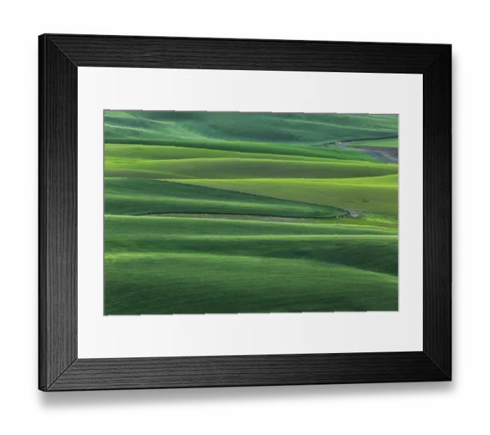 Framed Print : High angle view of undulating wheat crop, Palouse, Washington State, USA
