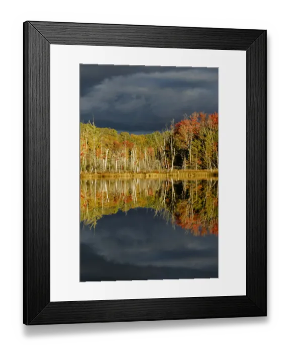 Framed Print : Shoreline of Red Jack Lake at sunrise, Hiawatha National Forest, Upper Peninsula of Michigan, USA Framed Print : Shoreline of Red Jack Lake at sunrise, Hiawatha National Forest, Upper Peninsula of Michigan, USA