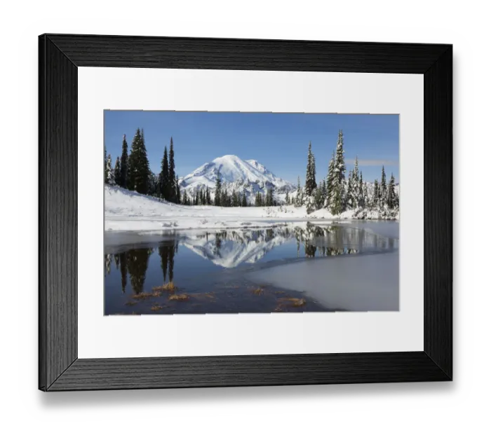 Framed Print : Mount Rainier and Upper Tipsoo Lake, Mount Rainier National Park, Washington State, USA Framed Print : Mount Rainier and Upper Tipsoo Lake, Mount Rainier National Park, Washington State, USA
