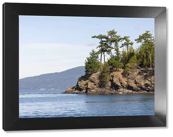 Scenic landscape with Towhead Island, San Juan Islands, Puget Sound, Washington State, USA
