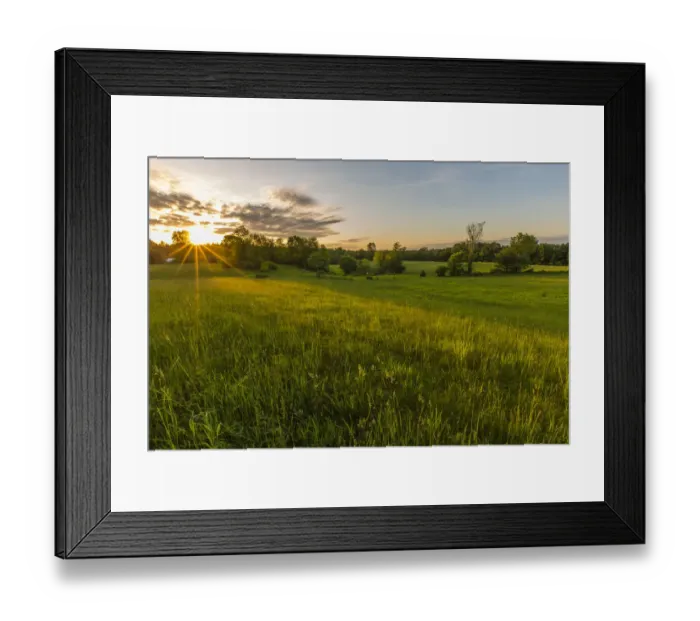 Framed Print : Grassy field at sunset, Epping, New Hampshire, USA Framed Print : Grassy field at sunset, Epping, New Hampshire, USA