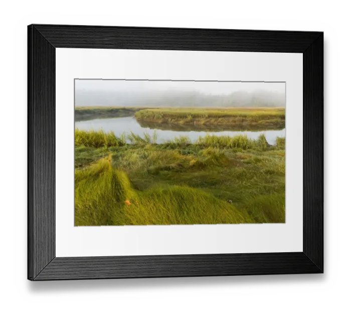 Framed Print : Salt marsh along York River, Smelt Brook Preserve, York, Maine, USA Framed Print : Salt marsh along York River, Smelt Brook Preserve, York, Maine, USA