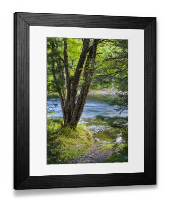 Framed Print : Grand Pitch on East Branch of Penobscot River, International Appalachian Trail, Baxter State Park, Maine, USA Framed Print : Grand Pitch on East Branch of Penobscot River, International Appalachian Trail, Baxter State Park, Maine, USA