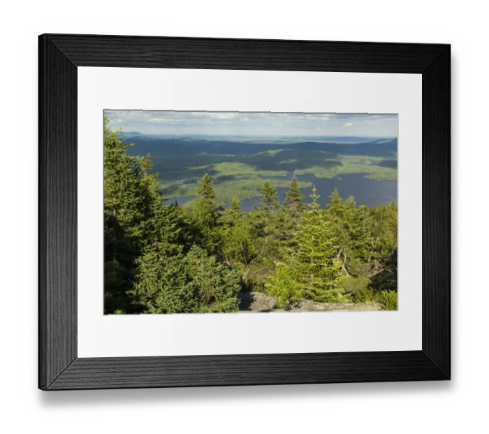 Framed Print : Spruce forest on Moxie Bald Mountain and Bald Mountain Pond in distance, Appalachian Trail, Bald Mountain Township, Maine, USA Framed Print : Spruce forest on Moxie Bald Mountain and Bald Mountain Pond in distance, Appalachian Trail, Bald Mountain Township, Maine, USA