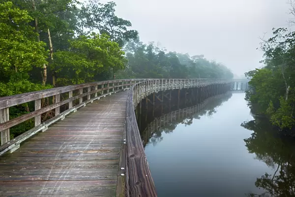 Wooden boardwalk at Robinson Preserve, Bradenton, Florida, USA