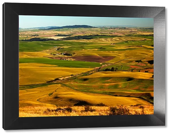 Landscape with fields, Palouse, Washington State, USA
