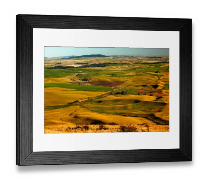 Framed Print : Landscape with fields, Palouse, Washington State, USA Framed Print : Landscape with fields, Palouse, Washington State, USA