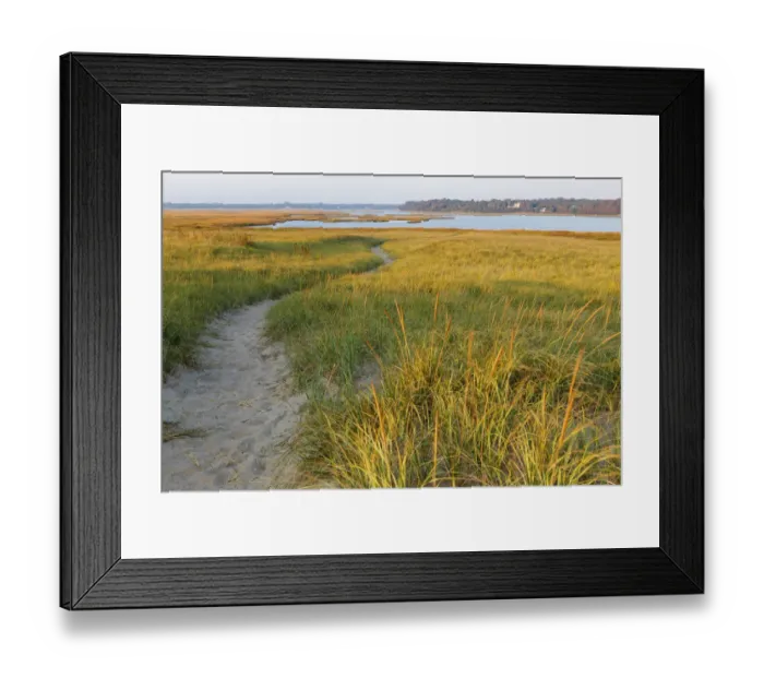Framed Print : Sandy path through dune grass at Coast Guard Beach, Eastham, Cape Cod National Seashore, Massachusetts, USA