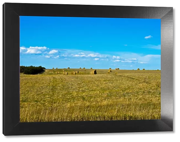 Hay bales in field, Nebraska Panhandle, Nebraska, USA