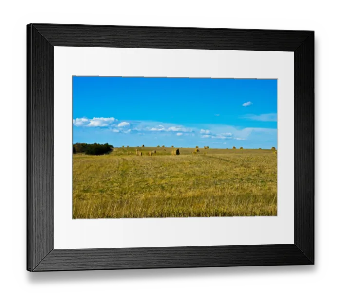 Framed Print : Hay bales in field, Nebraska Panhandle, Nebraska, USA