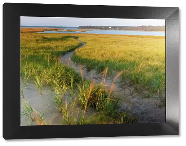 Sandy path through dune grass at Coast Guard Beach, Eastham, Cape Cod National Seashore, Massachusetts, USA