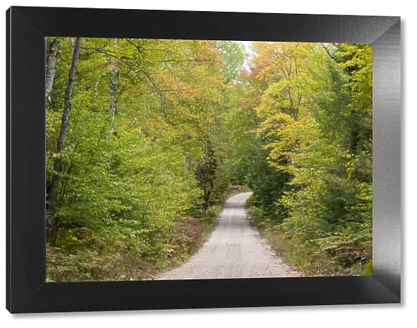Road through autumn forest, Hiawatha National Forest, Upper Peninsula, Michigan, USA