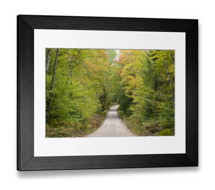 Framed Print : Road through autumn forest, Hiawatha National Forest, Upper Peninsula, Michigan, USA Framed Print : Road through autumn forest, Hiawatha National Forest, Upper Peninsula, Michigan, USA
