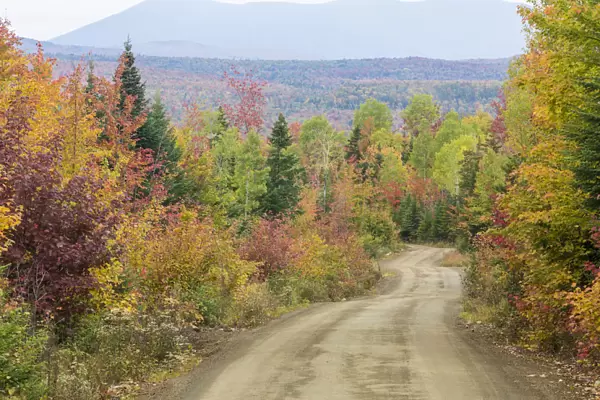 Logging road near East Kennebago Mountain, Reddington Township, Maine, USA