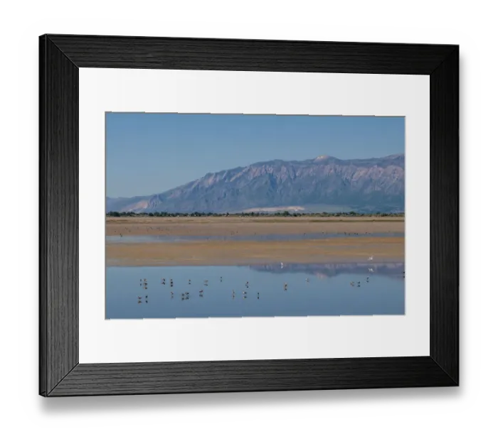 Framed Print : Antelope Island State Park, Great Salt Lake, Utah, USA Framed Print : Antelope Island State Park, Great Salt Lake, Utah, USA