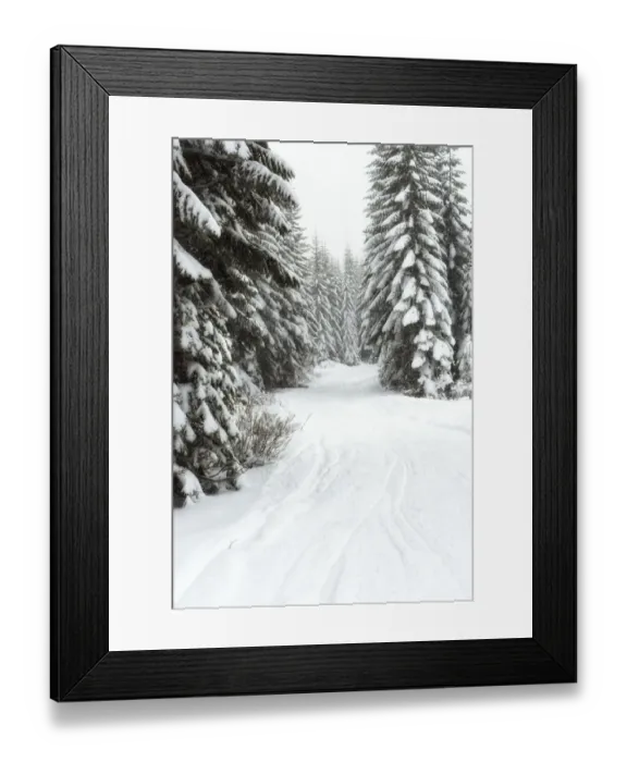 Framed Print : Scenic winter landscape, Crystal Mountain area, Washington State, USA Framed Print : Scenic winter landscape, Crystal Mountain area, Washington State, USA