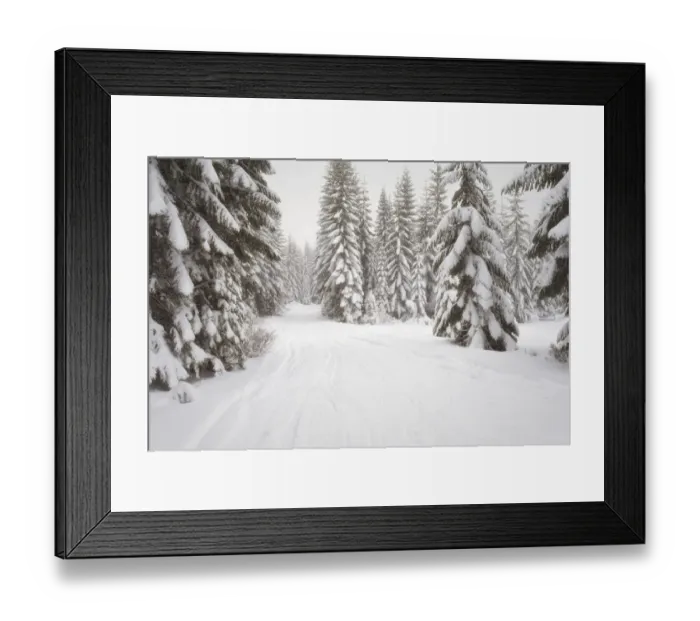 Framed Print : Scenic winter landscape, Crystal Mountain area, Washington State, USA Framed Print : Scenic winter landscape, Crystal Mountain area, Washington State, USA