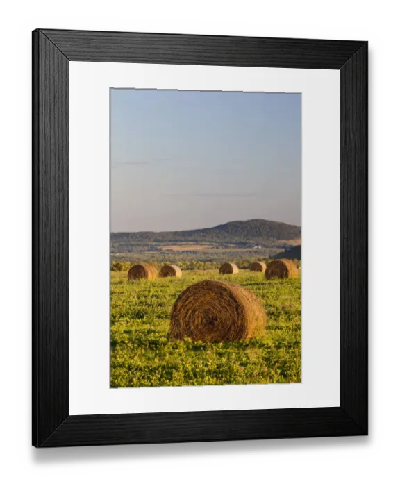 Framed Print : Hay bales in field, International Appalachian Trail, Merrill, Aroostook County, Maine, USA Framed Print : Hay bales in field, International Appalachian Trail, Merrill, Aroostook County, Maine, USA